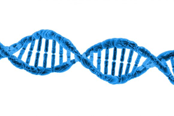 IS OUR DNA DIFFERENT OR THE SAME?