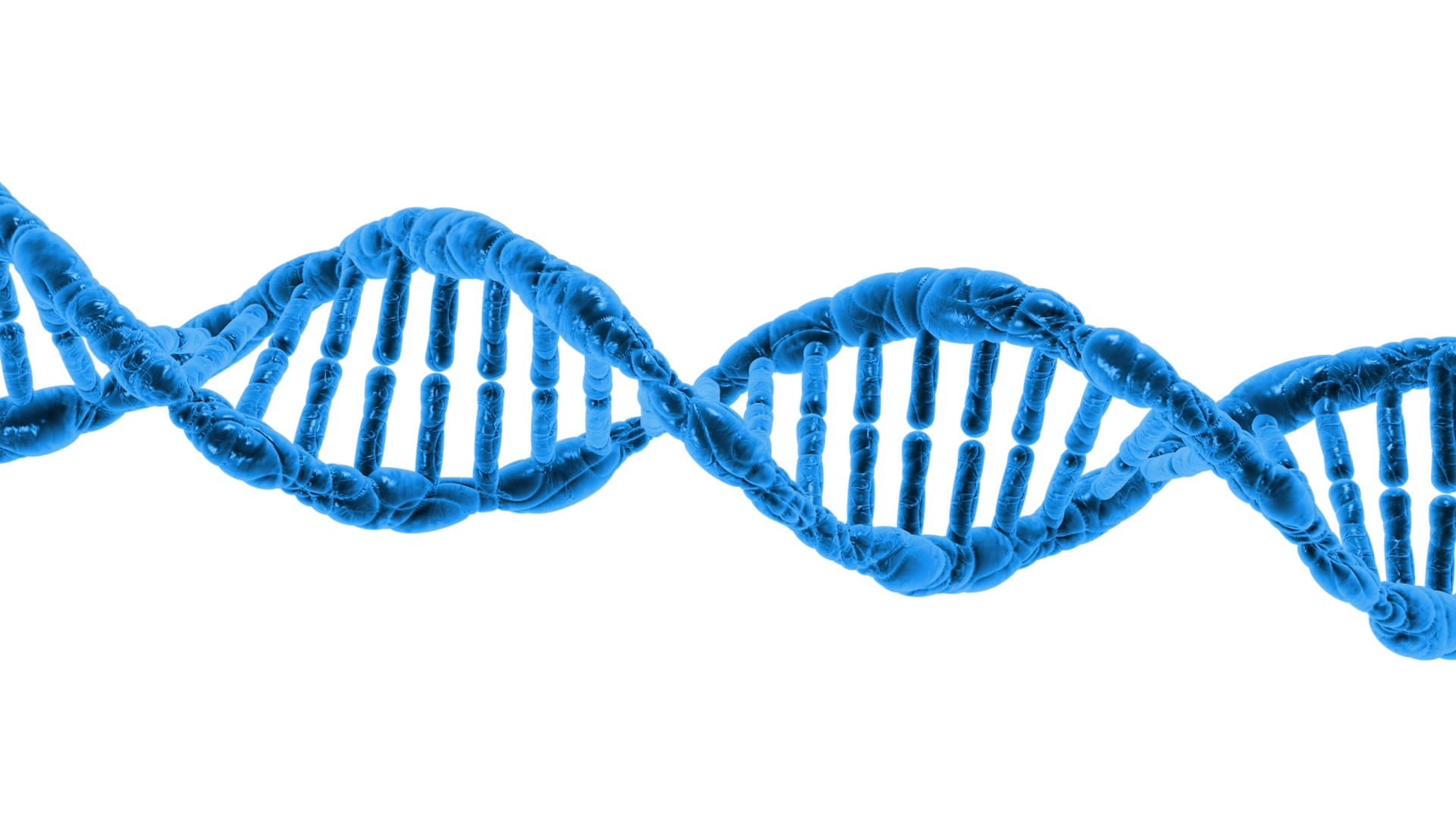 IS OUR DNA DIFFERENT OR THE SAME?